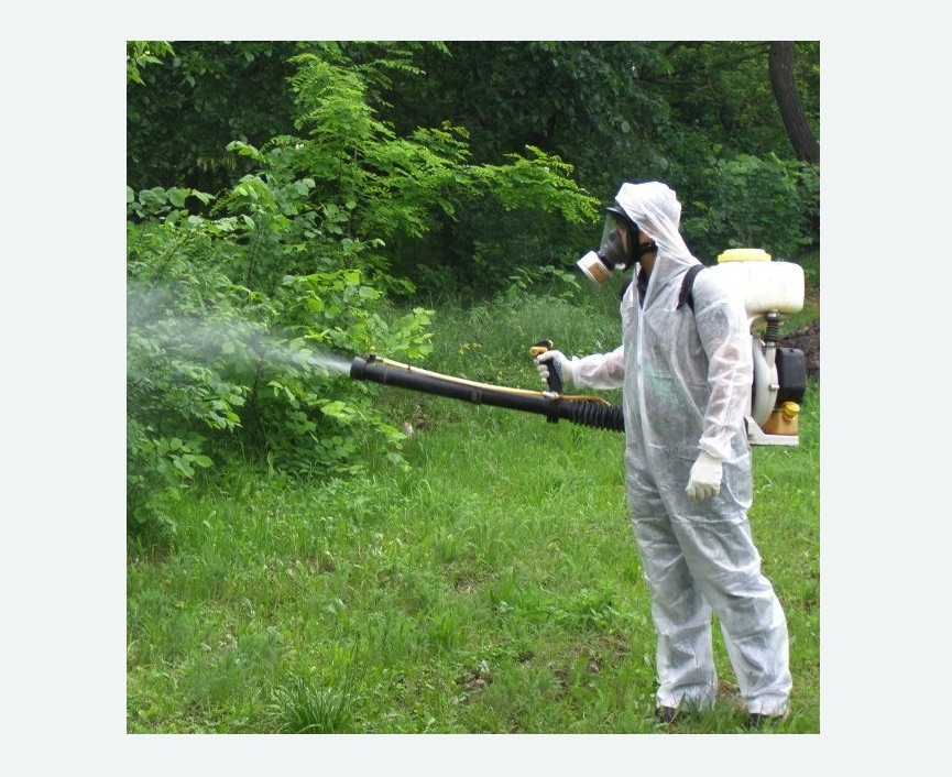 обработка дачи от клещей обработка территории от клещей в Новозыбкове