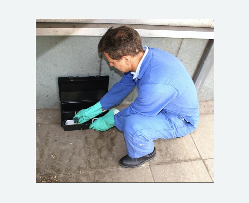 Уничтожение мышей в Новозыбкове Уничтожение мышей