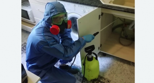 Уничтожение муравьев в квартире. Новозыбков