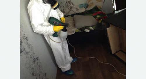 Обработка квартир от насекомых в Новозыбкове