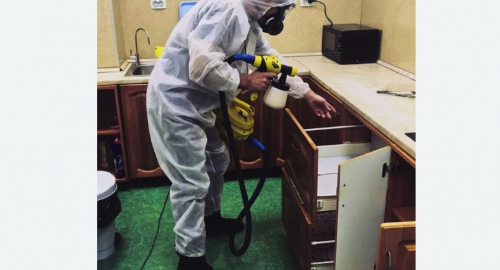Дезинсекция квартиры. Новозыбков