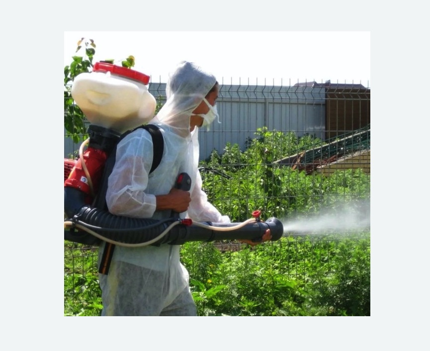 Акарицидная обработка территории в Новозыбкове