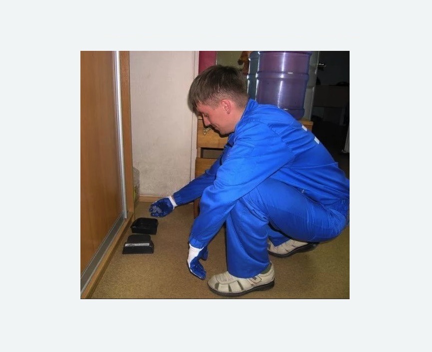 Дератизация крыс Дератизация крыс в Новозыбкове