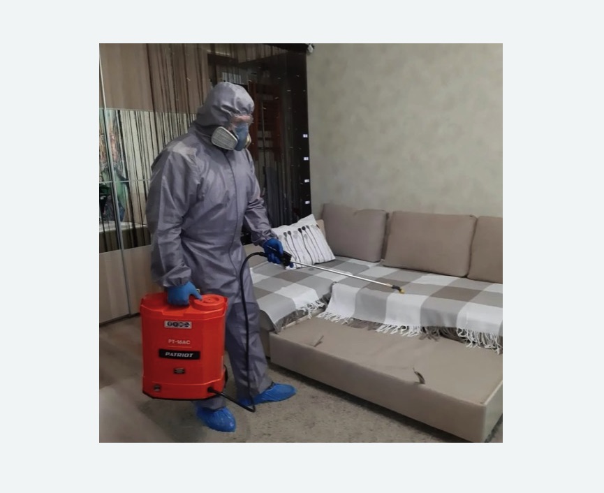 Обработка квартиры от блох в Новозыбкове Обработка квартиры от блох