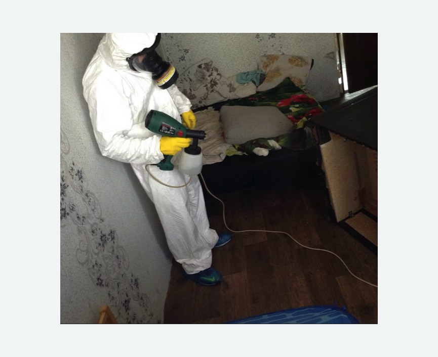 Обработка от насекомых в Новозыбкове Обработка квартиры от насекомых