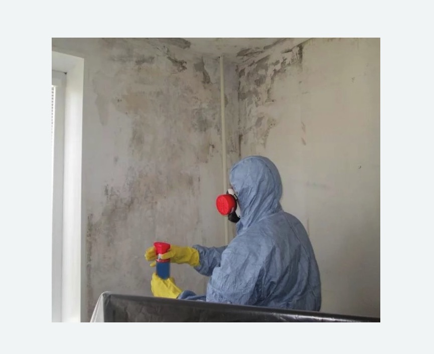 Удаление плесени в квартире в Новозыбкове