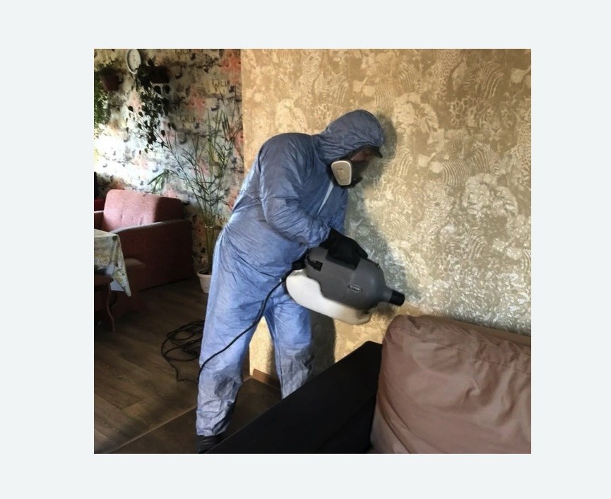 Уничтожение блох в квартире. Новозыбков Уничтожение блох в квартире