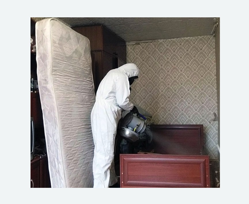 дезинфекция от клопов в Новозыбкове