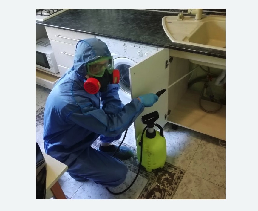 обработка от муравьев в квартире обработка от муравьев в квартире в Новозыбкове