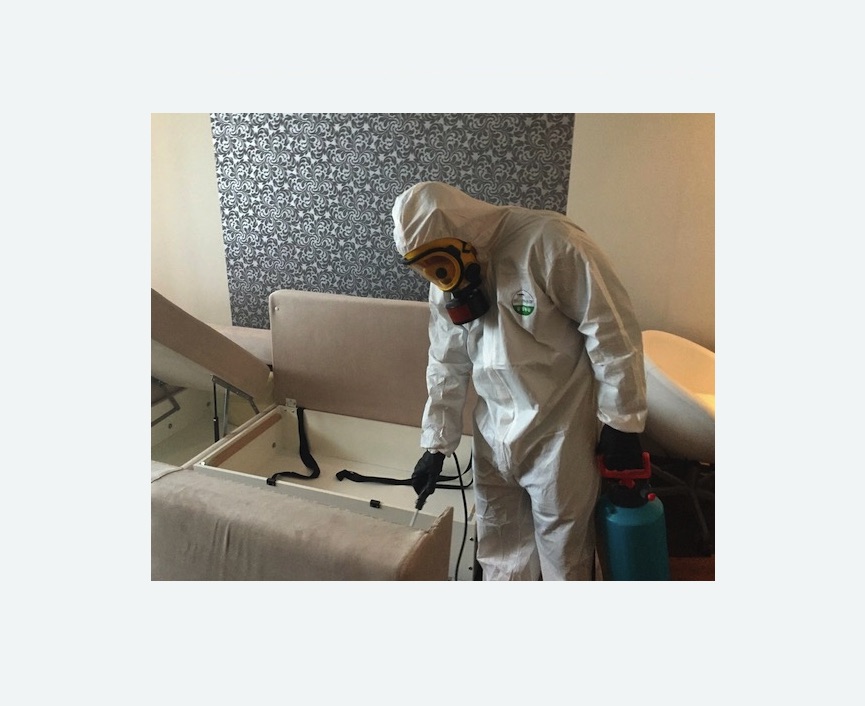 уничтожение клопов в квартире в Новозыбкове