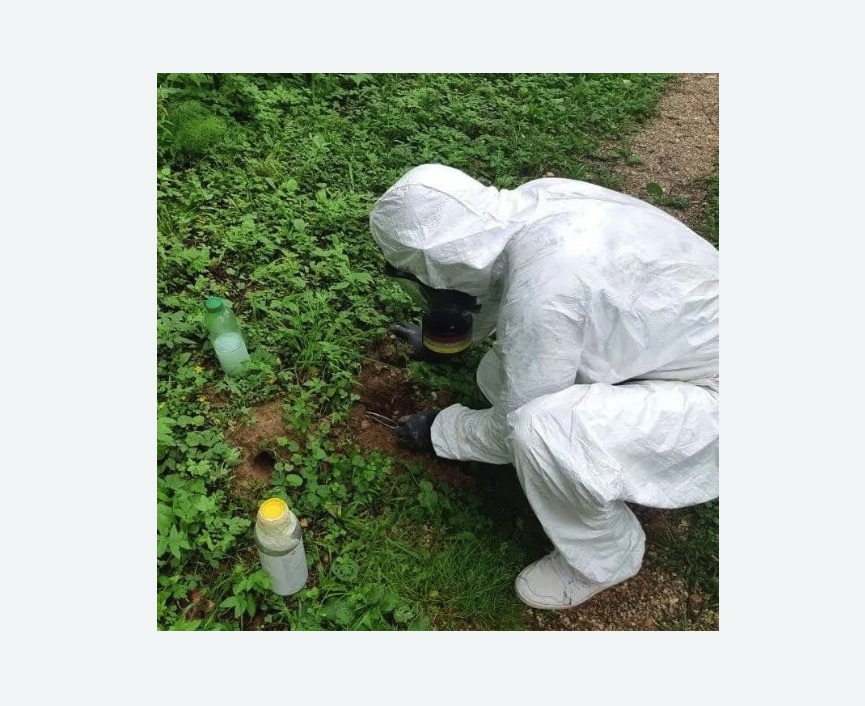 уничтожение кротов на участке в Новозыбкове