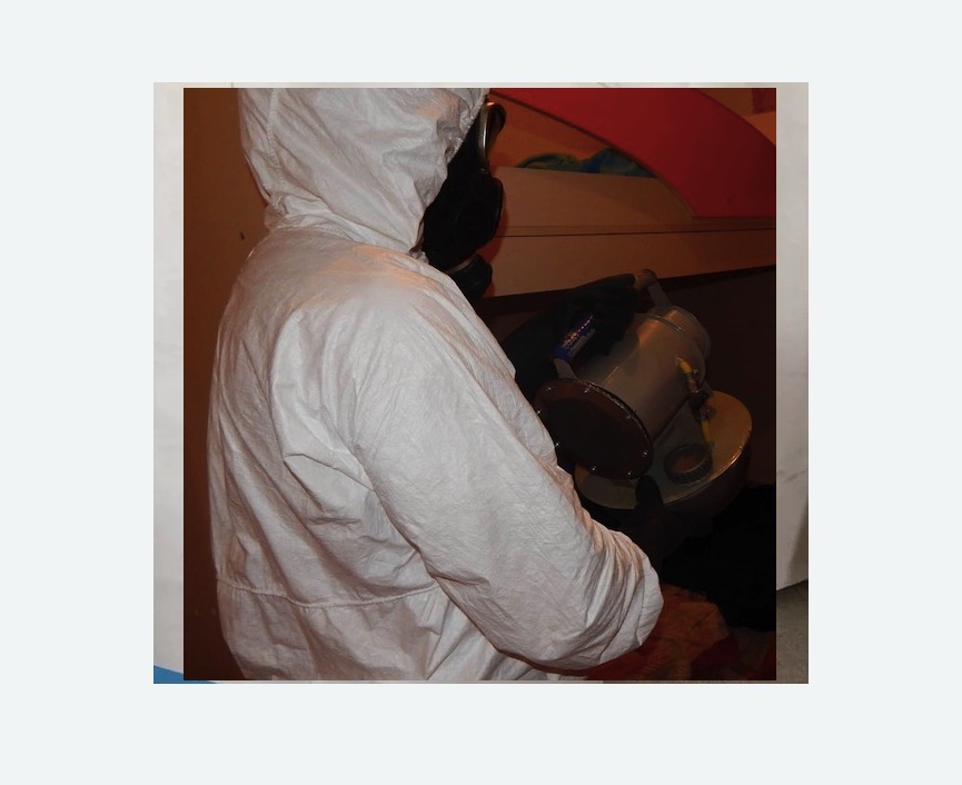 Дезинфекция от муравьев Дезинфекция от муравьев в Новозыбкове