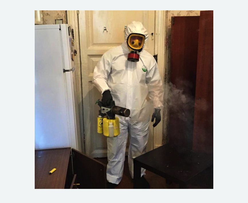 уничтожение муравьев в квартире уничтожение муравьев в квартире в Новозыбкове